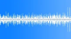Sparrows tweeting in suburb areaSound Effect