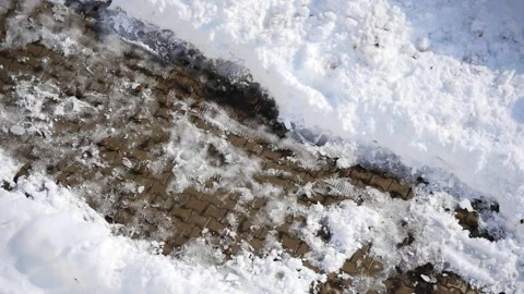 Sparrows, winter bears and sparrows looking for food in the snow in winter, Stock Footage 169287812