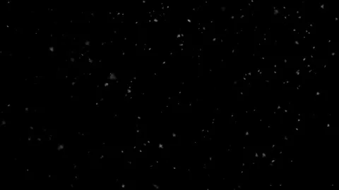 Sparse Falling Snow Reveal with Loop Stock Footage 84837250