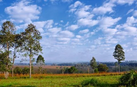 Sparse foothills. Stock Photos