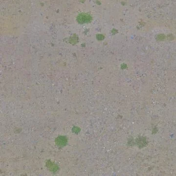 Sparse Green Grass Clumps on Sandy Dirt Ground Stock Photos