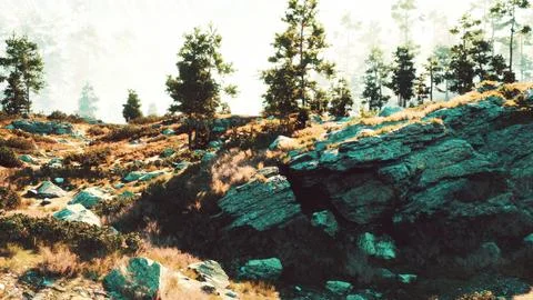 Sparse soil sustains vast pines on naked cliffs Illustrazione stock