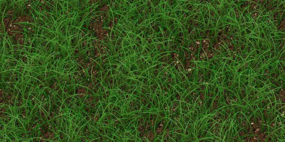 Sparse textured meadow backdrop. Grass texture. Field background. Park lawn.. Ilustração Stock