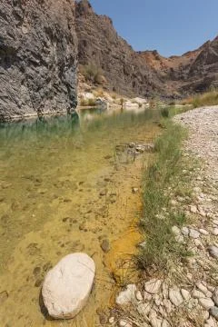 Sparse vegetation along the water Stock Photos
