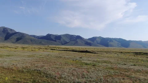 Sparse vegetation in the foothills Stock Footage 242258563