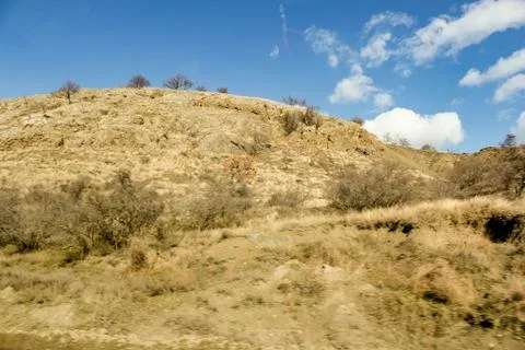 Sparse vegetation on the hill. Foto stock