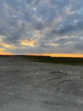 Sparse vegetation on sandy ground under sunset sky Stock Photos