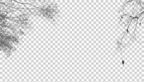 Sparse winter branches and single leaf isolated on transparent background Stock Illustration