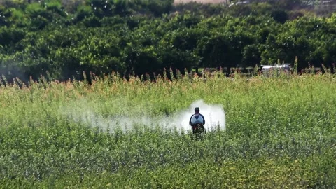 Sparying insecticide 库存影片 162032710