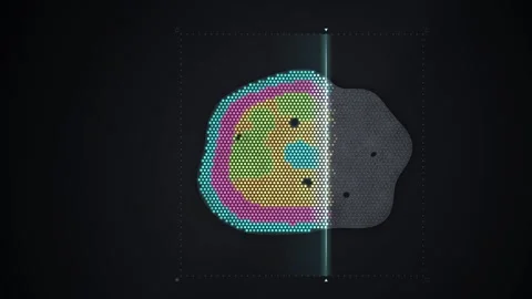 Spatial Transcriptomics Tissue Gene Expression Map Scan Reveal Animation 스톡 동영상 347127146