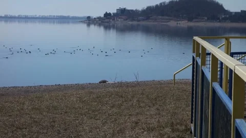Spatial view of the summer outdoor pool and its surroundings by the big lake Stock Footage 172383800