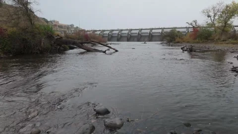 Spawning chinook salmon in the American River near Nimbus Dam Stock Footage 339093616