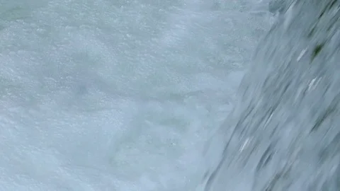 Spawning Salmon fighting it's way up river in the Alaska Waters Stock Footage 83147330