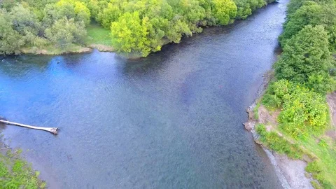 Spawning salmon in Kurile Lake at nature reserve, Kamchatka, Russia. Stock Footage 119963183