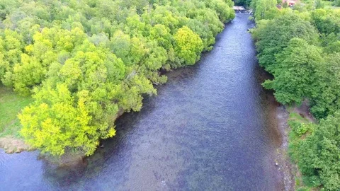 Spawning Sockeye Salmon Kamchatka august 2018 Stock Footage 119963311