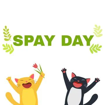 Spay Day illustration. Funny Cats . Cartoon vector drawing. Stock Illustration