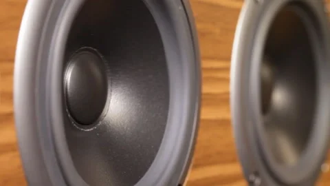 Speaker detail 스톡 동영상 90380592