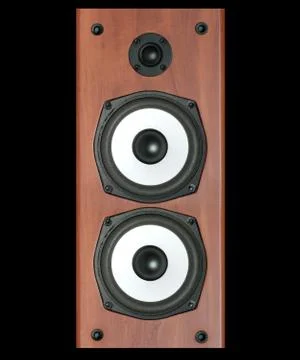 Speaker Stock Photos
