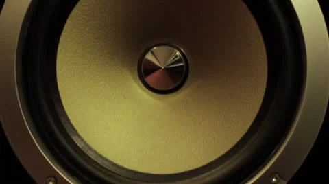 Speaker Vertical Pan Stock Footage 22825789