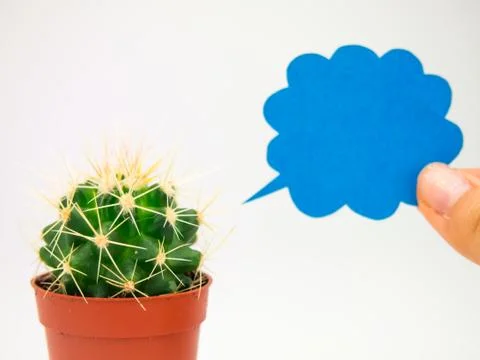 Speaking Cactus Stock Photos