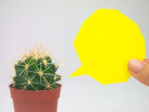 Speaking Cactus Stock Photos
