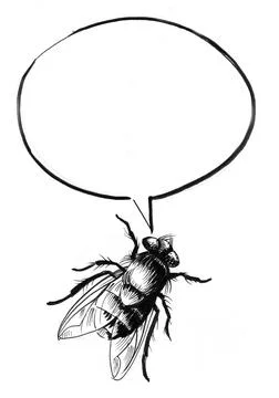 Speaking fly Illustrazione stock
