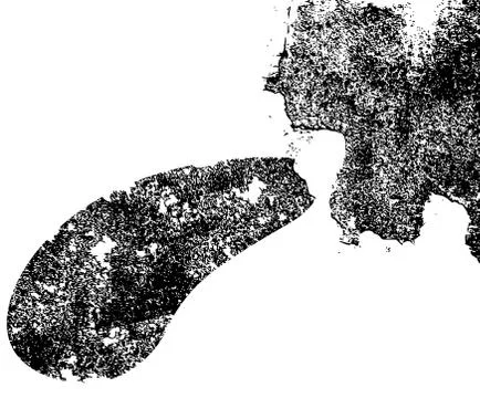 Speaking man head Stock Illustration