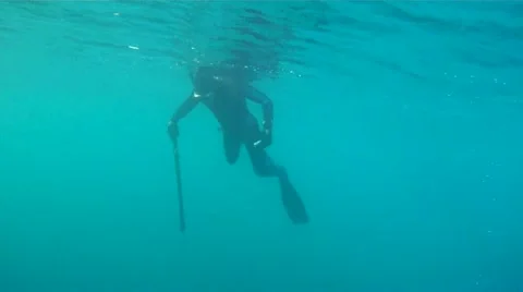 Spear fishing Video stock 22417688
