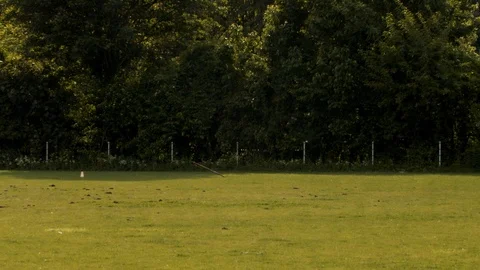 Spear landing / spear head Stock Footage 110799760