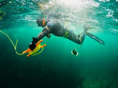 Spearfisher at surface Fotos Stock