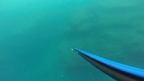 Spearfisherman diving down and searching for fish Stock Footage 89355643