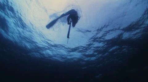 Spearfisherman Stock Footage 1097089