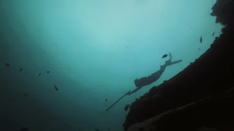 Spearfisherman Stock Footage 1097202