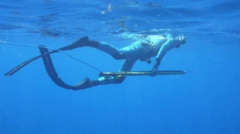 Spearfisherman Stock Footage 40682805