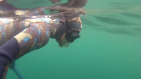 Spearfisherman shoots 2 fish in one go Stock Footage