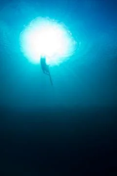Spearfishing dive Stock Photos