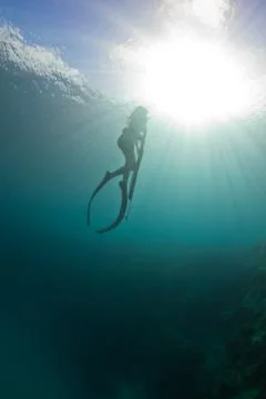 Spearfishing on the reef Stock Photos