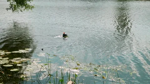 Spearfishing on the river Stock Footage 138360850