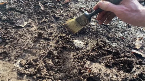 Spearhead revealed during archeological dig Stock Footage 262367686