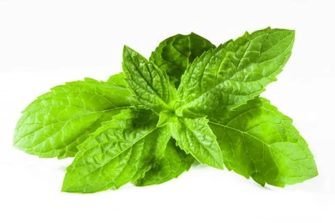Spearmint Stock Photos