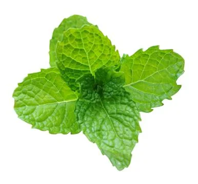 Spearmint Stock Photos