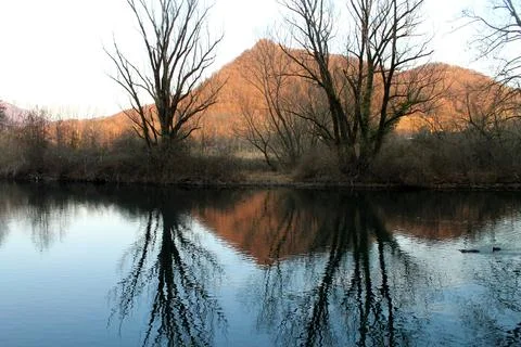 Specchio alberi | Stock Photos