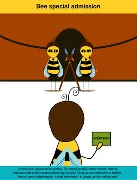 Special bee admission Stock Illustration
