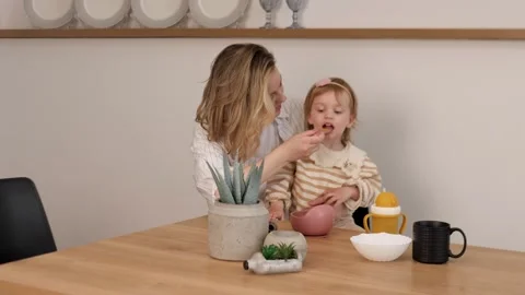 The Special Connection Between a Mother and Her Child as They Enjoy Mealtime Stock Footage 312219356