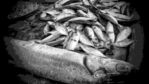 Special effect close-up black white many fish big live deep sea dead sell. Stock Photos