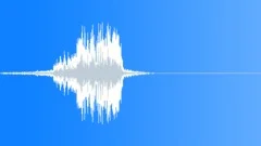 Special effectSound Effect