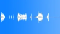 Special effect, spacebird.Sound Effect