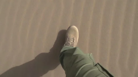 Special Forces in the Desert 4K TZ Stock Footage 320117057