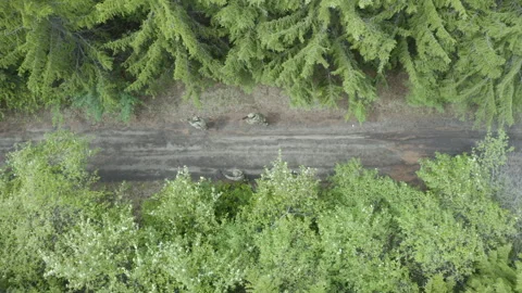 Special forces group on assignment Видео 157377431