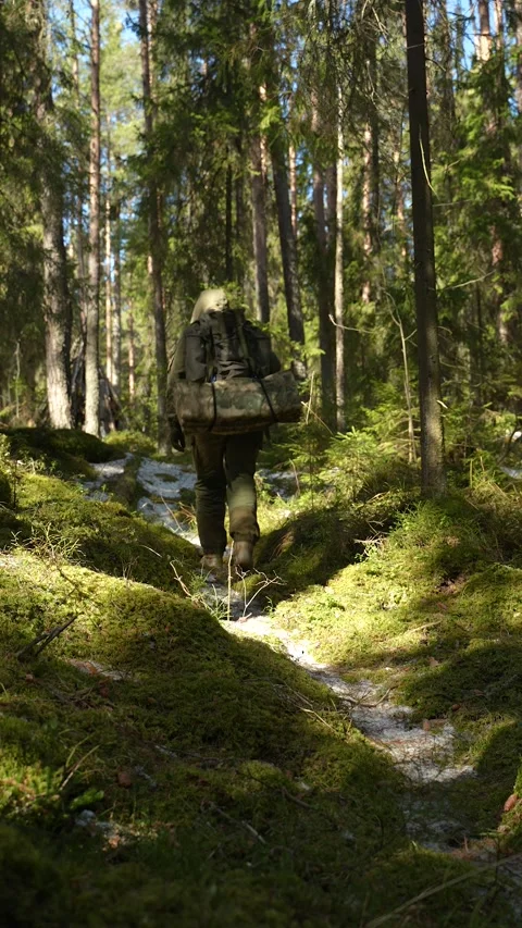 A special forces serviceman is making his way through the forest. Military Vidéo 308058243